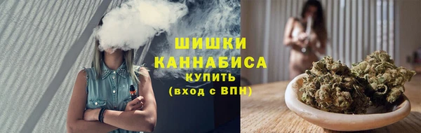 PSILOCYBIN Осинники