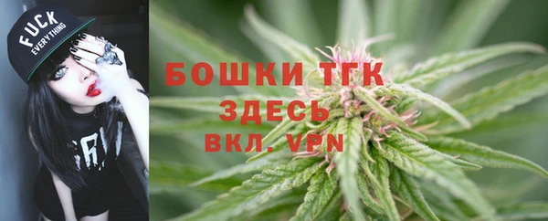 эйфоретик Осташков