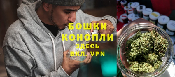 PSILOCYBIN Осинники