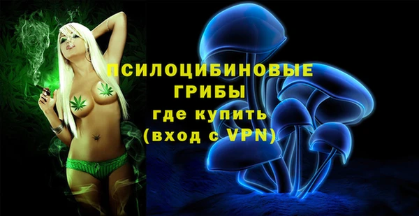прущий лед Пестово