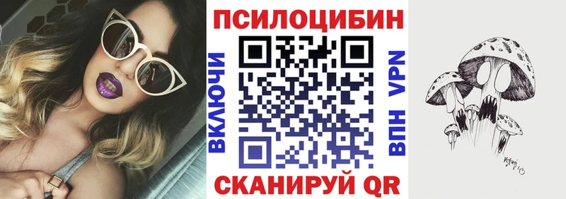 Купить  Ершов  Псилоцибиновые грибы мицелий 